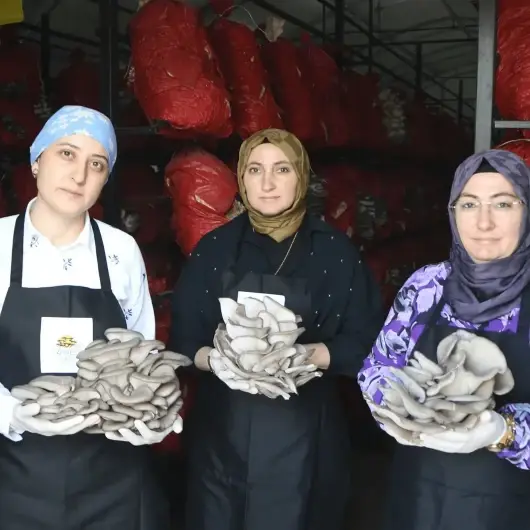 Aldıkları destekle hayatları değişti, talebe yetişemiyorlar: Beş çadırda yılda 60 ton mantar üretiyorlar