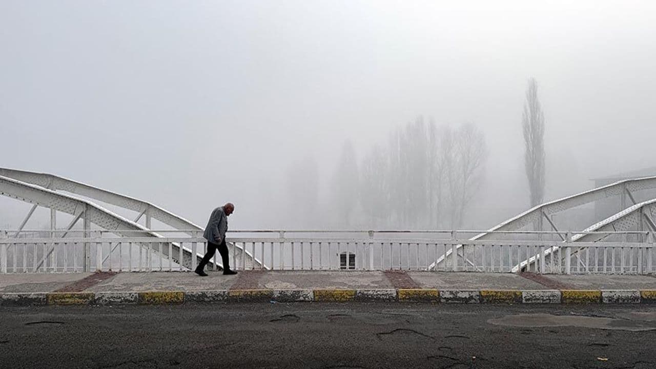 Ardahan'da kuşların gökyüzündeki dansı görüntülendi