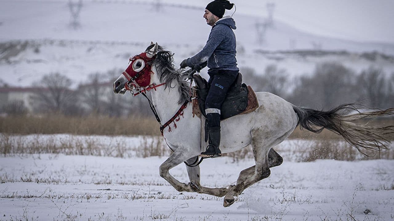 Erzurum'da kar ve buzda atlı safari keyfi