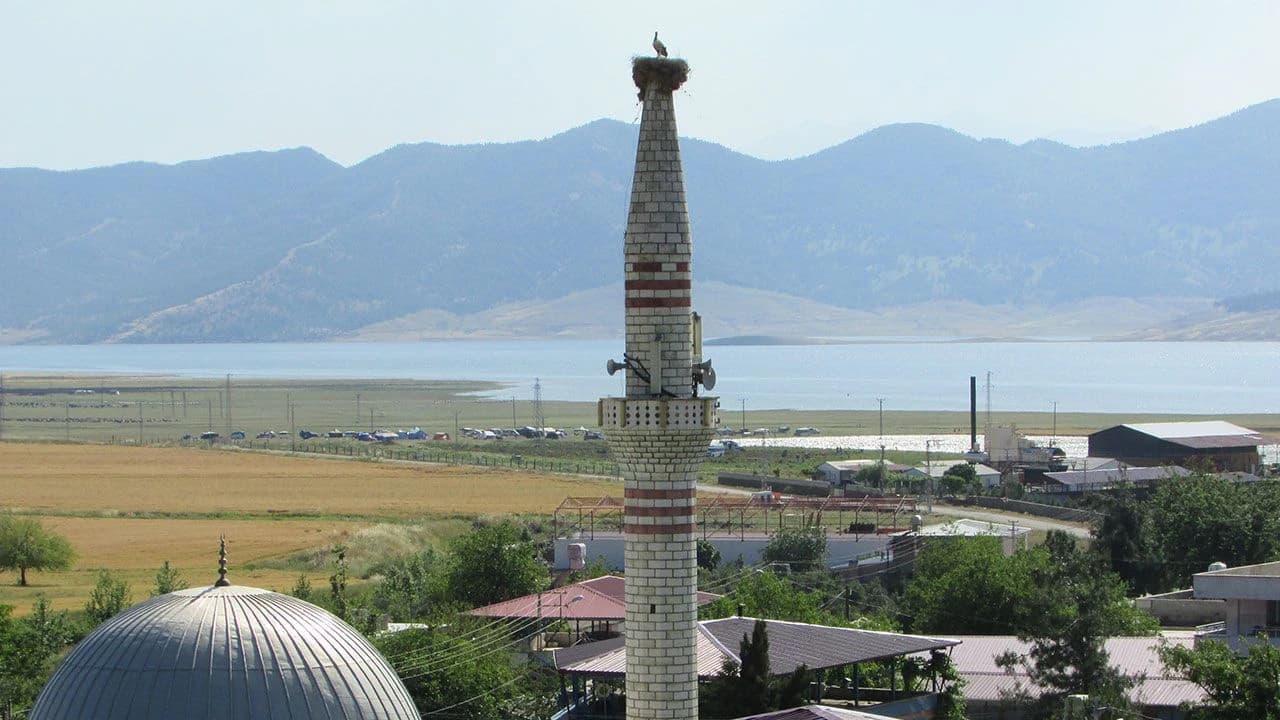 Depremde yıkılan minarenin alemine yuva yapan leyleğin 3 yavrusu oldu