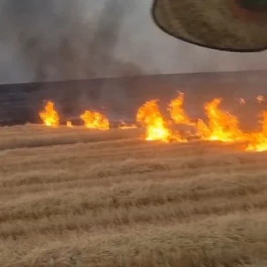 Diyarbakır'da 5 bin dönümlük alanda yangın