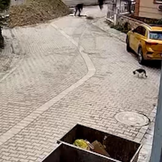 Avcılar'da bastığı kapak açılınca rögara düştü: O anlar kamerada