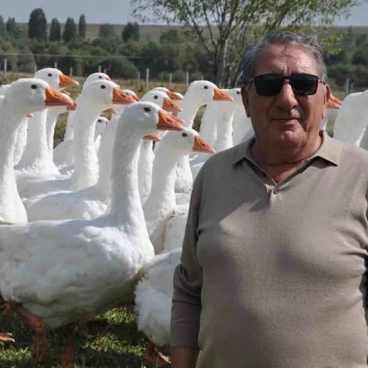 Eski Belediye Başkanı kaz yetiştiriciliğine başladı: Geleneksel yöntemlerle yetiştirdiği kazları kesime hazırlanıyor